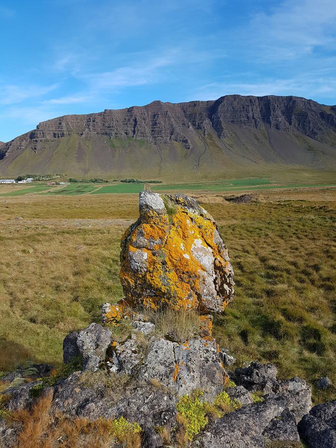 Mithjanes Reykholahrepp Konuk evi Reykholar Dış mekan fotoğraf