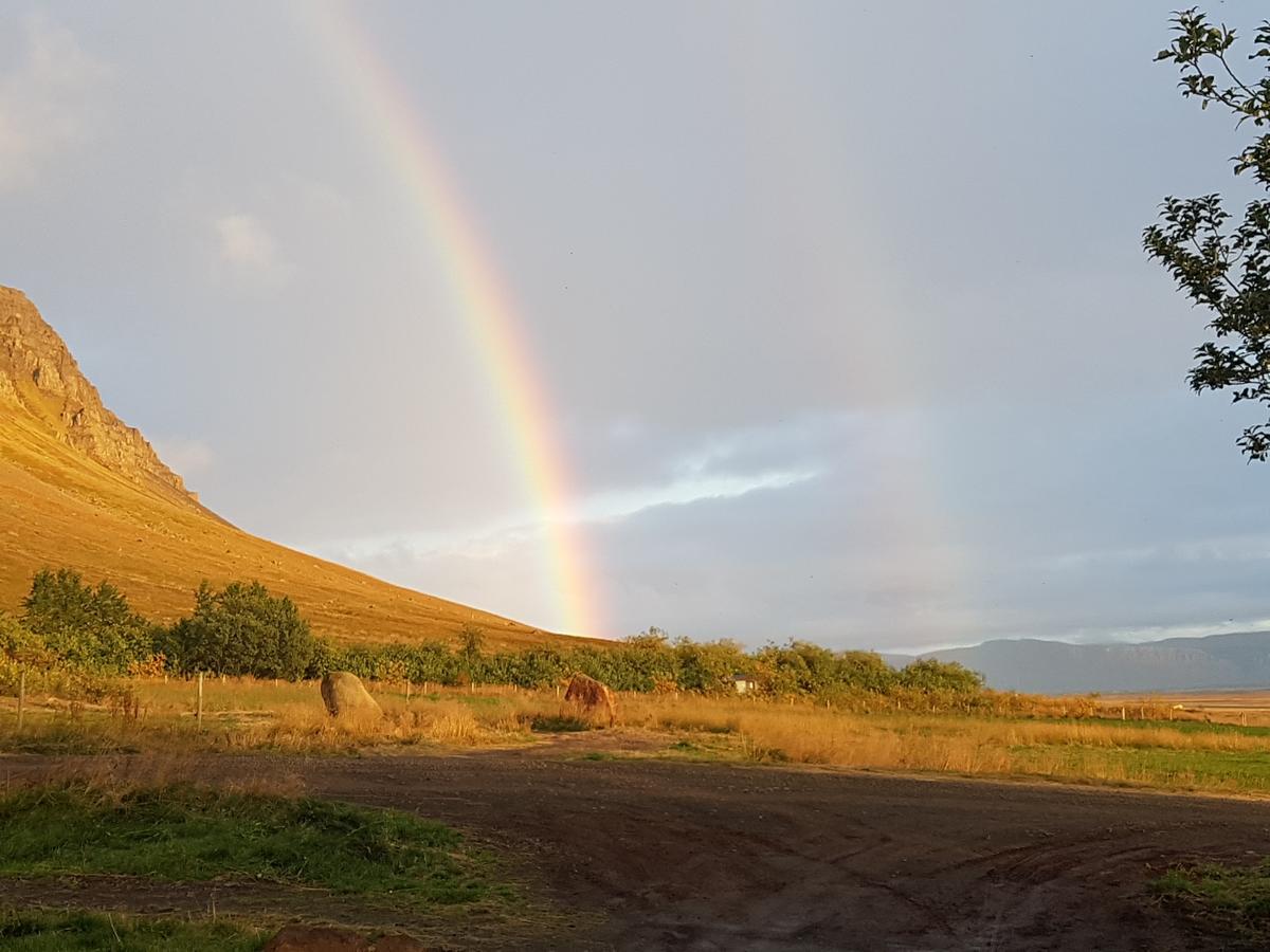 Mithjanes Reykholahrepp Konuk evi Reykholar Dış mekan fotoğraf