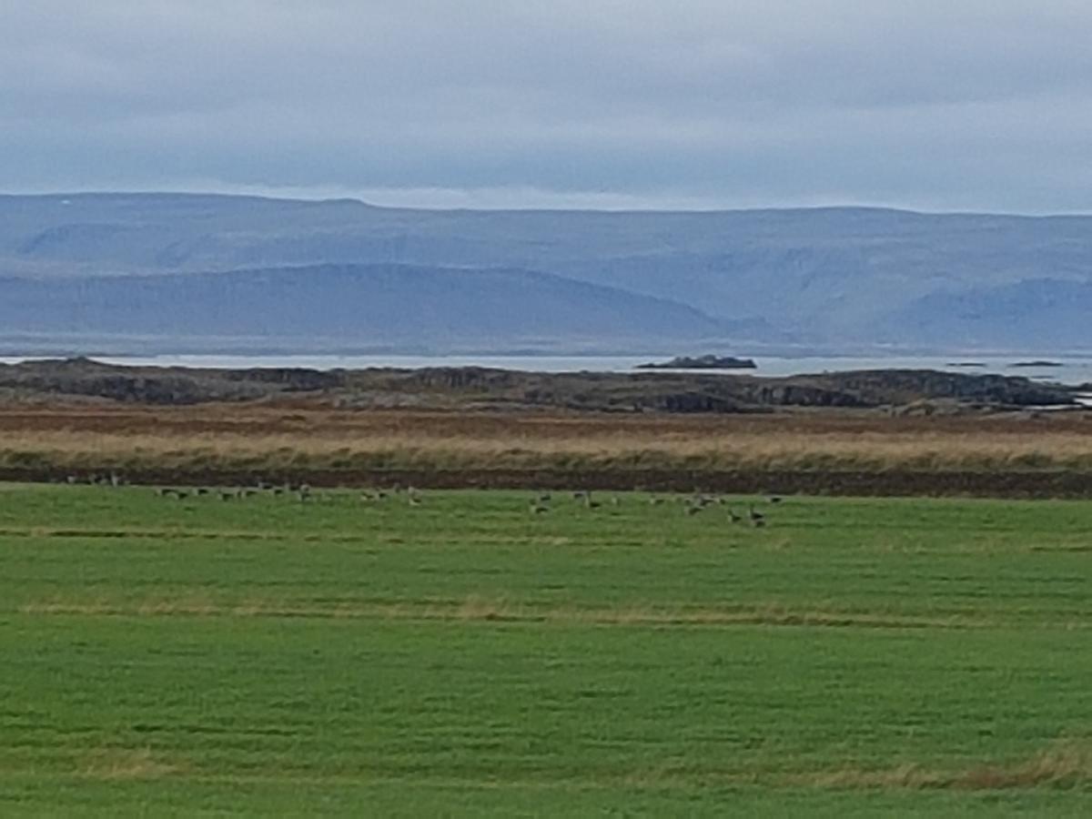 Mithjanes Reykholahrepp Konuk evi Reykholar Dış mekan fotoğraf