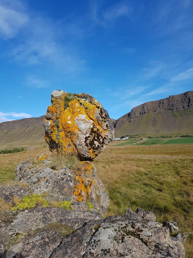 Mithjanes Reykholahrepp Konuk evi Reykholar Dış mekan fotoğraf