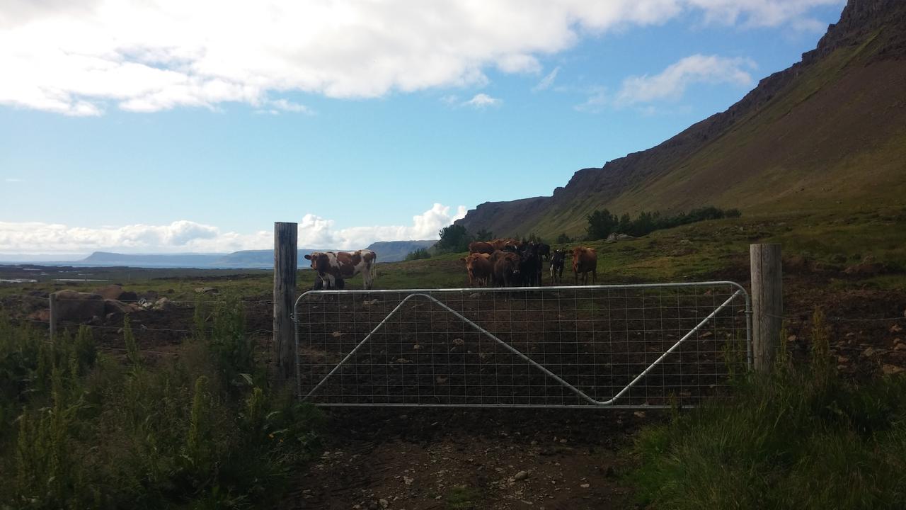 Mithjanes Reykholahrepp Konuk evi Reykholar Dış mekan fotoğraf